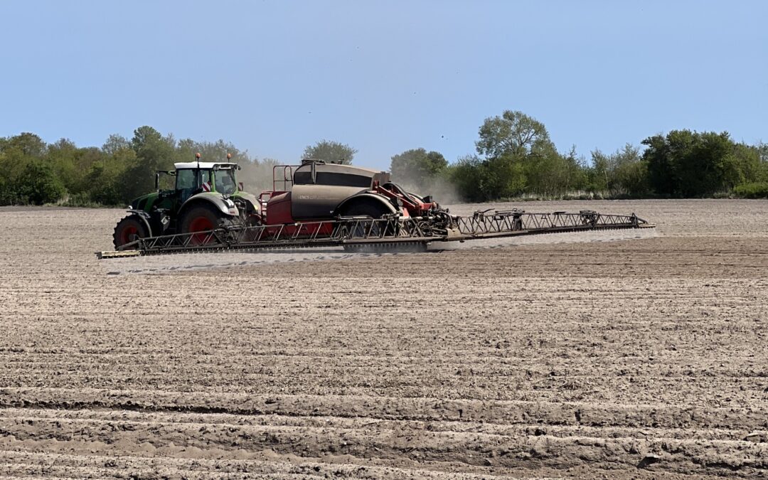 Fosfor i efteråret – nøglen til en stærk etablering
