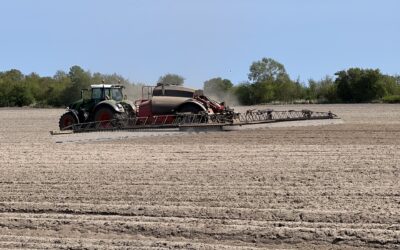 Ujævn vækst i marken – et klassisk problem