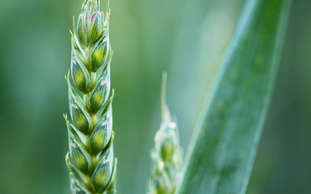 Suspensioner – højt indhold, men er det en fordel?