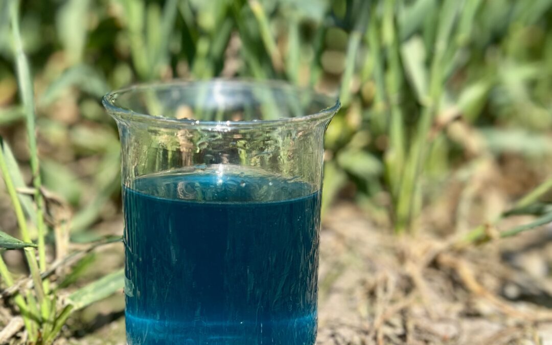 Kobber – et næringsstof vi plejede at få “gratis”